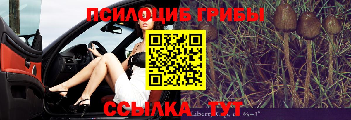 Северск  Псилоцибиновые грибы мицелий  Вход с VPN 