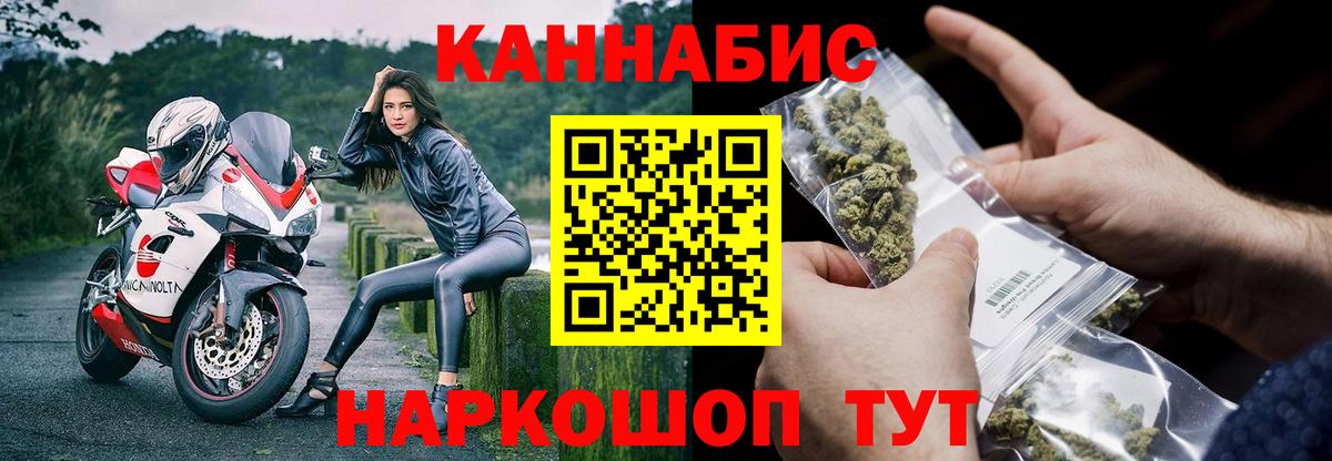 Каннабис конопля Северск